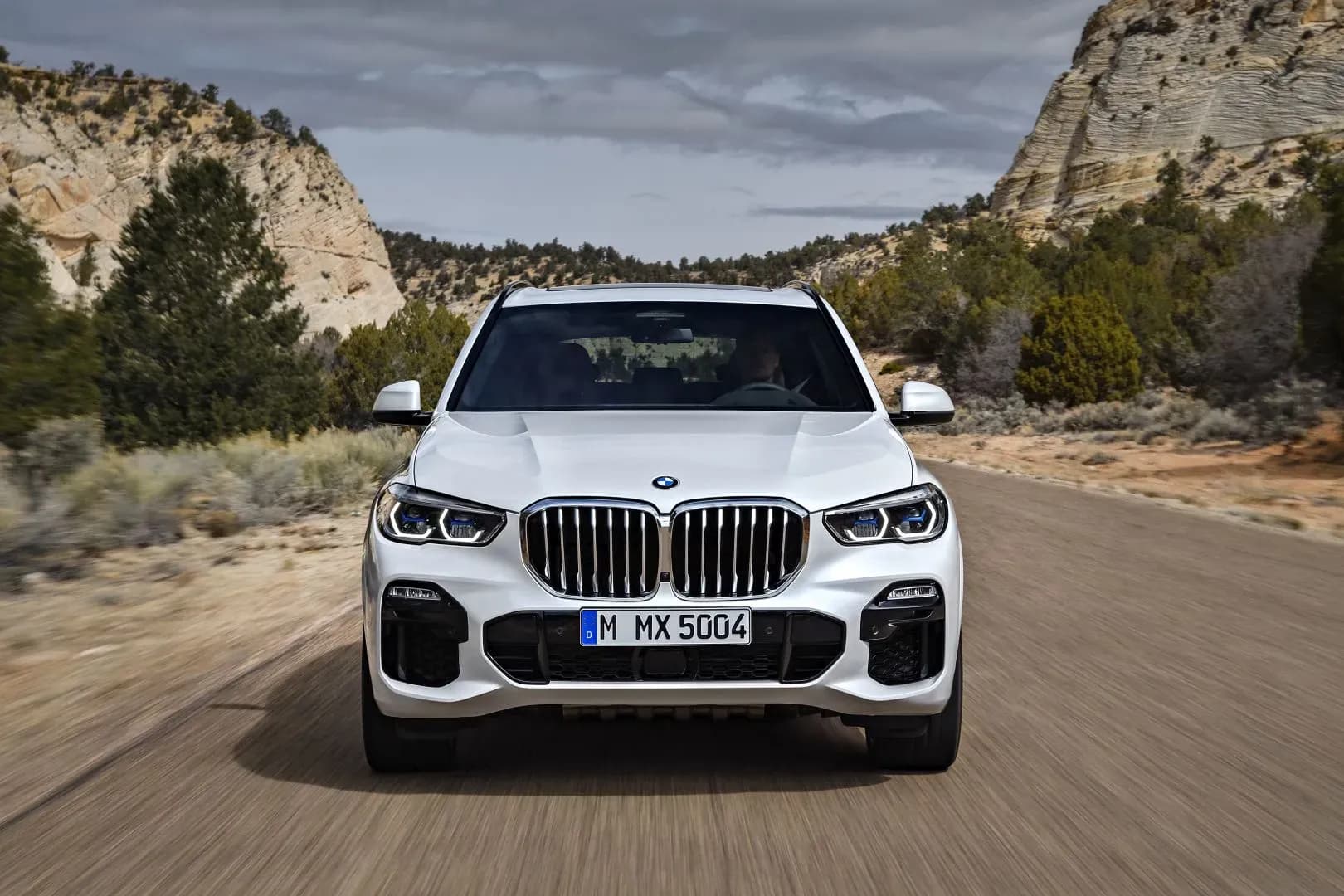 BMW-X5